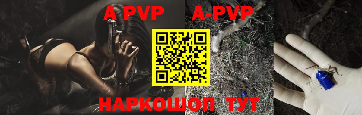 A PVP СК Славгород