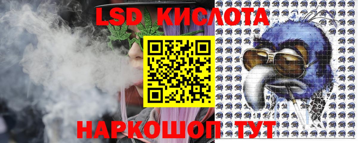 A PVP Славгород