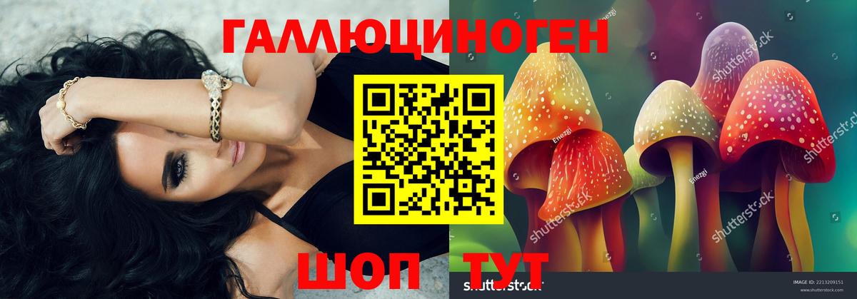 Псилоцибиновые грибы мицелий Славгород